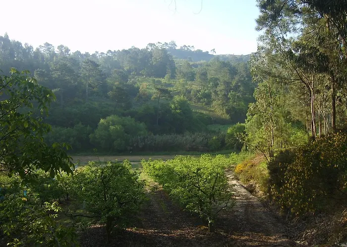 Quinta Da Vida Serena Alojamento de Acomodação e Pequeno-almoço