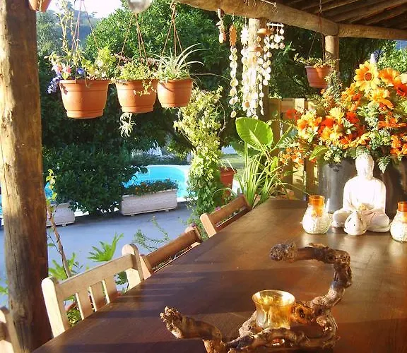 Alojamento de Acomodação e Pequeno-almoço Quinta Da Vida Serena Alfeizerão